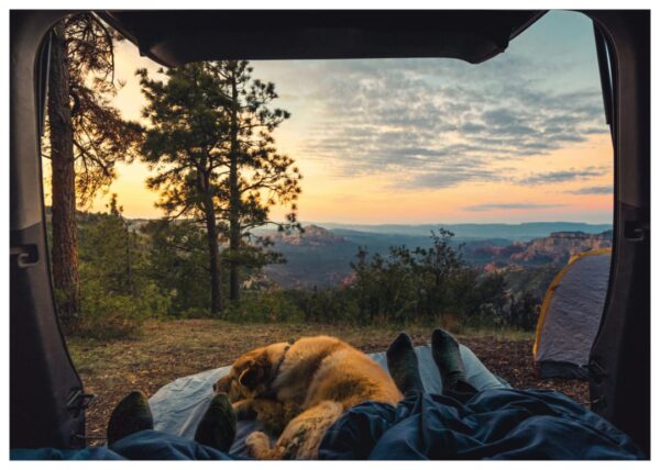 Vámonos de Camping